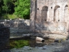 Butrint, ruins in the forest