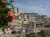 Roses and Matera