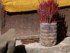 Skink offering