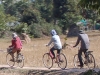 Bikes