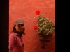 Even when a window looks out only on an alleyway, the view is made charming by small details
