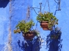 The third key colour is the vivid cerulean blue