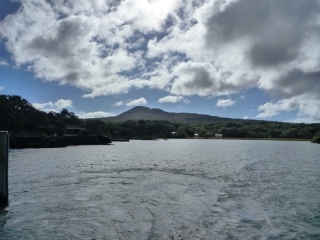 Rangitoto Island, Auckland's newest volcano and already invaded by Australian wildlife