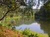 Neris river