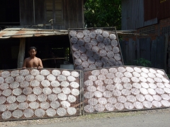 Rice paper circles, drying in the sun - now I want to go and have some of the spring rolls they're used for