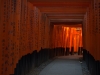 The atmospheric passage of a thousand tori