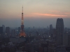 Even Tokyo can be beautiful, at a distance