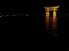 And looking quite different at night