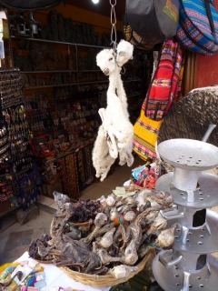 Basket of little ones, big ones hanging up - get your dried llama foetuses here!