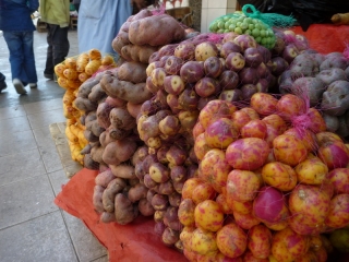 A rainbow of potatoes!