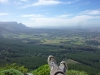 Elephant Eye view