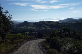 Rolling countryside on the island of Chiloe. We are told that this blue colour in the sky is a very rare sight in winter - so our week may go downhill from here
