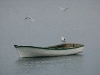We could keep the rain away forever, dappling the grey sea around this little boat