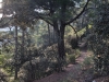 Evening mountain path