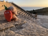 BunAmphitheatre