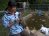 Otter keeper