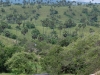We were travelling to the prehistoric landscapes of the Komodo Islands in search of dragons