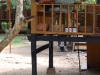 In fact we beheld a dozen, lazing outside the kitchen block at the Ranger station