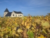 Every possible inch of champagne country is vine-covered