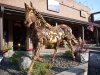 46-horseart-001