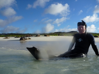 Relaxing after another hard day's snorkelling with sealions