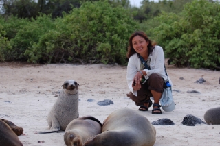 All the most stylish sealions are lightening their skin with sand these days...