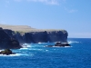 The seacliffs of Espanola are a wonderland of nesting seabirds, including an albatross colony