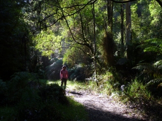 Moments later Maureen was pushed off a cliff by a falling tree branch in a freak gust of wind