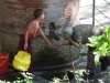 Little monk