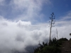 Sometimes it feels like walking in the clouds