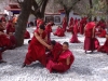 Debating monks