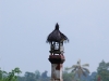 And to help the harvest along there are of course little shrines ready to accept offerings