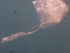Strange jellyfish, yeah? No. This is the plastic-bag fish and it is sadly found all around Bali\'s shores