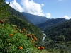 Valley
