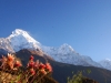 Mountain vista
