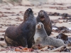 \'This is my new boyfriend. You are my old boyfriend, now go away\' \'Wot she said\'