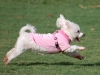 Plenty of people keeping themselves fit around the city. Nice pink jogging suit