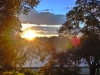 When it all gets a bit busy, the Royal Botanic Gardens right in the centre of the city are superb