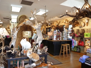 Get yer flayed and stuffed dead things here!