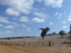 Let\'s start with those big, big skies