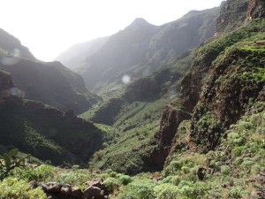 The gorge